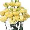 Lisianthus Katmerli Seri Açık Sarı Renk - Saksılık 5 Tohum